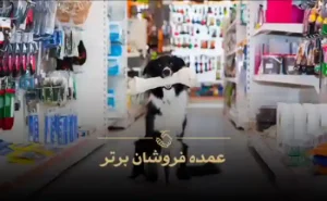 وارد کننده لوازم پت شاپ